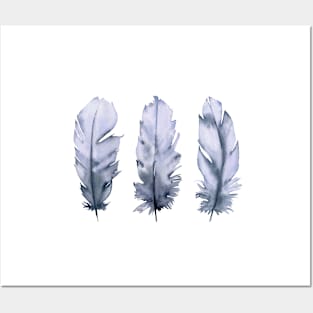 Blue feathers Posters and Art